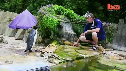 A\H분당출장안마 ㉳OIQ-2156 /4202 */ 애플힙 토닥토닥 분당출장마사지, 수원출장안마 【분당출장안마】