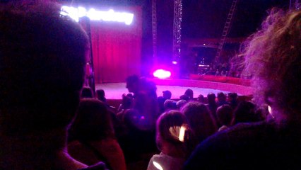 Le Cirque de St Petersbourg à Quimper le 28 juillet 2015 #10