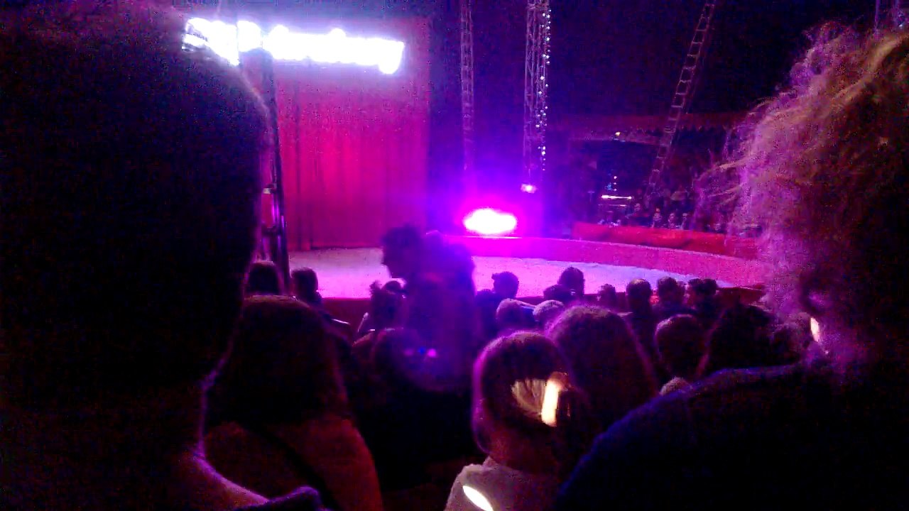 Le Cirque de St Petersbourg à Quimper le 28 juillet 2015 #10