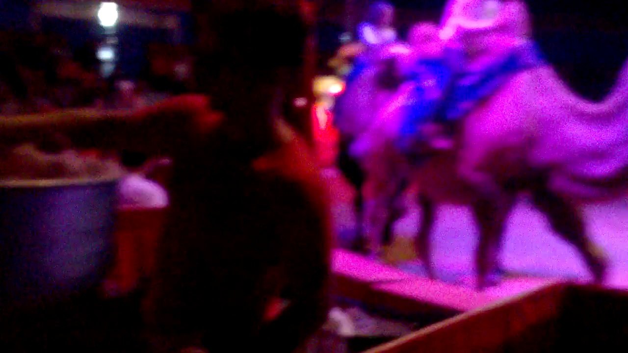 Le Cirque de St Petersbourg à Quimper le 28 juillet 2015 #12