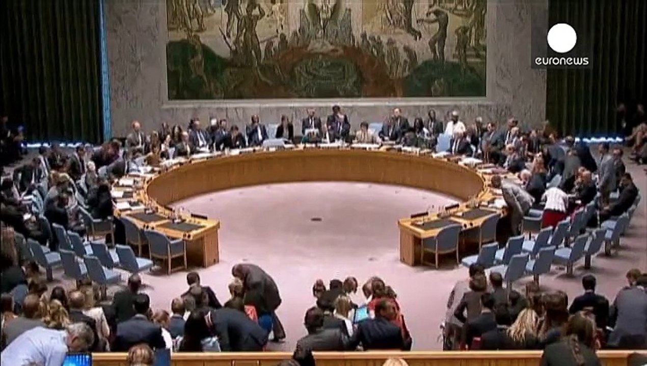 ООН: Росія ветувала резолюцію щодо трибуналу для винуватців збиття пасажирського літака над Донбасом