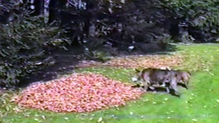 We may complain about it being too hot or too cold