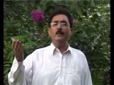 Pushto Song - Khoga Janana by Ilyas Kha Hazara