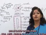 Algae:Chara lecture by Dr. Ruby Singh Parmar, Biyani group of colleges