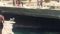 Brave Jack Russell Dog dives off Cliff in natural pool in Malta!