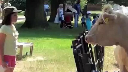 Dangerous animals attack humans compilation 2015 HD