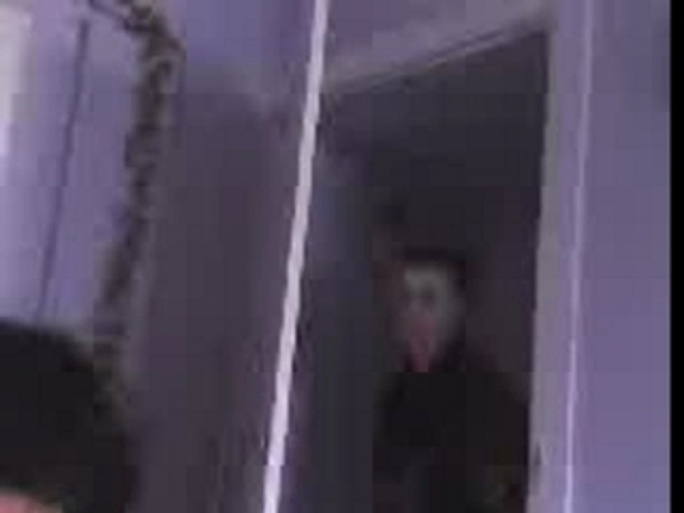 délire