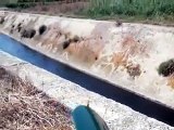 Campi di ortofrutta irrigati con acque reflue provenienti dal depuratore - FOLGORE Trani