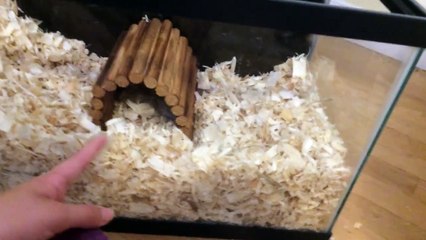 5 different ways to use a bendable bridge!!