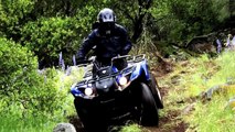 The Yamaha Grizzly 450 EPS versus Honda Rancher