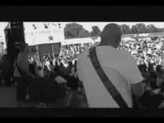 Sublime-40.oz To Freedom