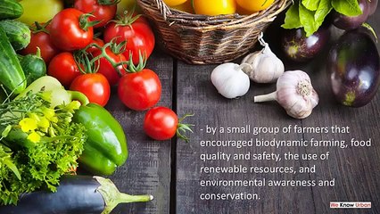 Organic Offerings From Local Markets for the Health Conscious