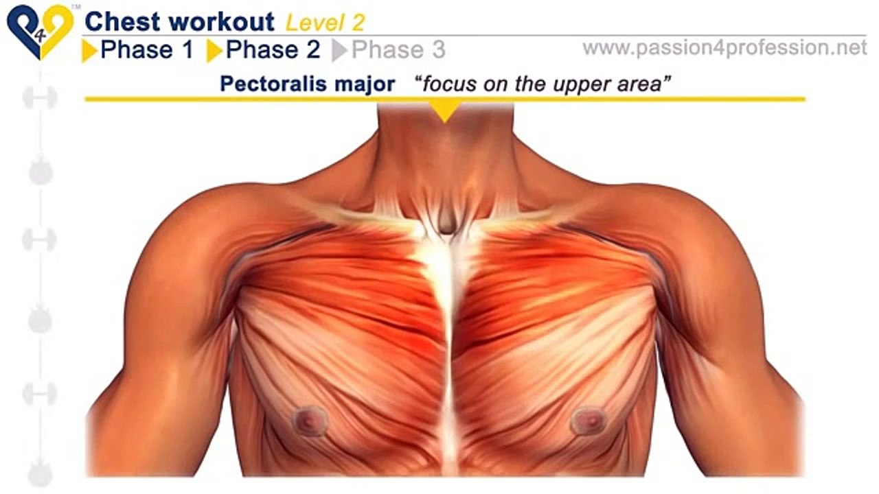 მკერდის კუნთების ვარჯიში 2LVL Chest traning Home workout