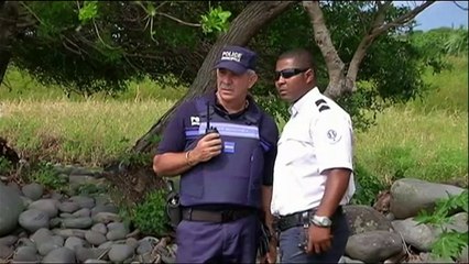 MH370-Absturz: Wrackteil auf La Réunion entdeckt?