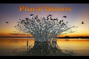 Plural Nouns