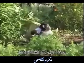 أشوفك وين يا مهاجر ههههههه