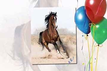 Quê Hương Trảng Bom by Trầm-Thiên-Thu