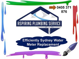 Appreciated Sydney Water Meter Replacement Service