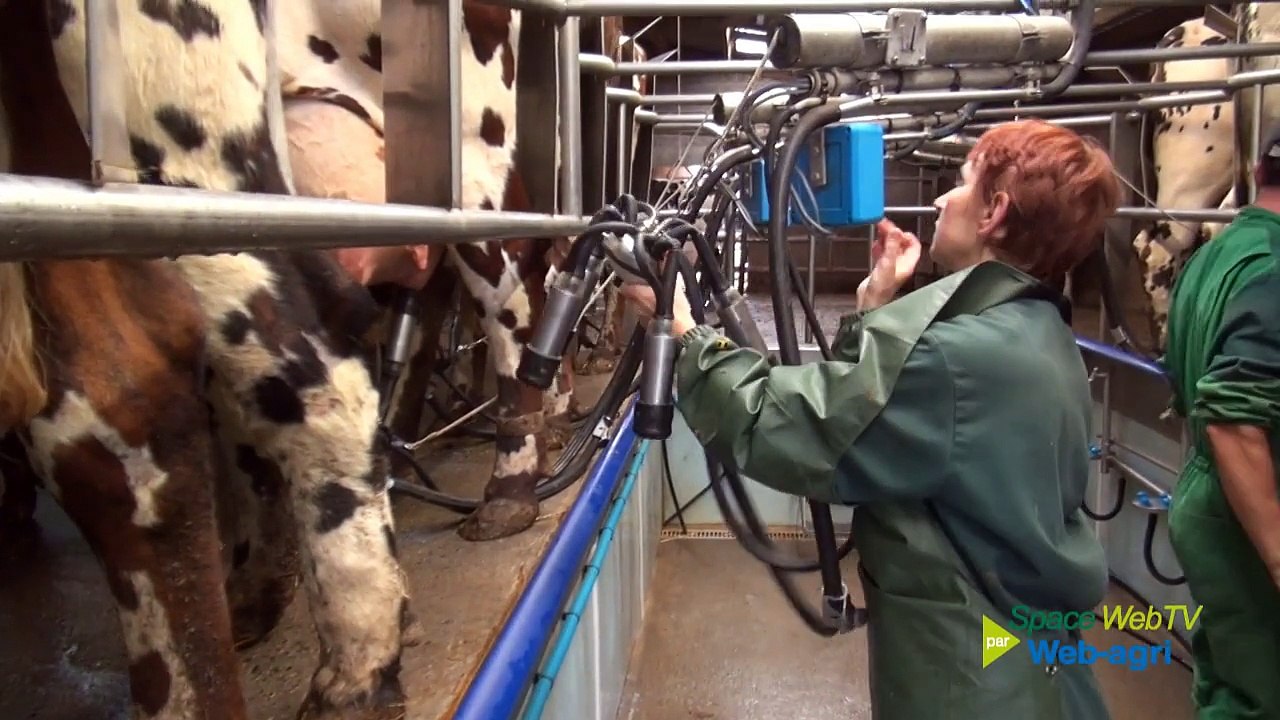 N.Gautier (22) convaincu par le croisement Holstein x Normande