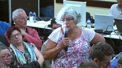 EolienPDLT \ Séquence 4 : Echanges avec la salle (réunion de clôture) \ 28-07-2015