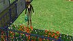 Lemony Snickets A Series of Unfortunate Events The Bad Beginning Chapter Two Sims 2