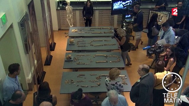 États-Unis : les ossements des premiers colons anglais retrouvés ?