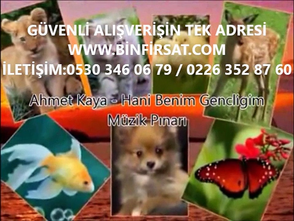 Ahmet Kaya __ Hani Benim Gençliğim