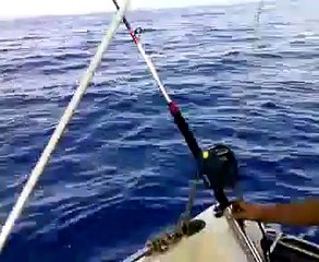 pantelleria-pesca d'altura-cernia di 10kg
