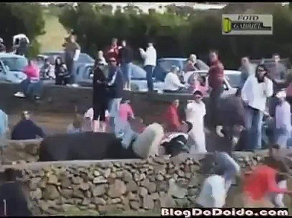 bull fighting