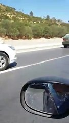 يحدث في تونس فضحونا قدام العالم