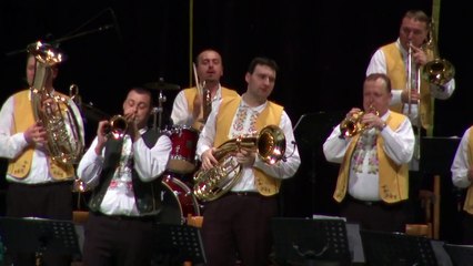 Blaskapel  Vlado Kumpan      Ples Muzikantů Hodonin Tsjchië 2014
