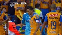 Copa Libertadores - Gignac et les Tigres se cassent les dents