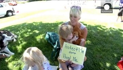 Usa, protesta contro il dentista che ucciso il leone-icona in Africa