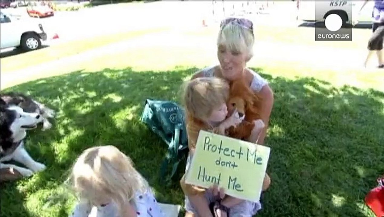 Löwe Cecil: Demonstration vor Praxis des Jägers - auch Prominente protestieren