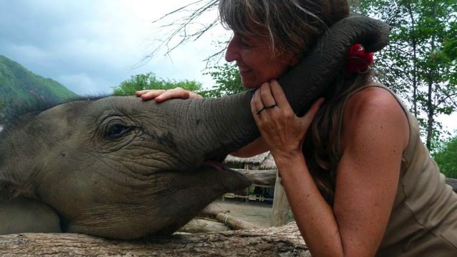 L'appel du règne animal ❀ Christine Pagnier Guillot - Thomas Marcilly le blog