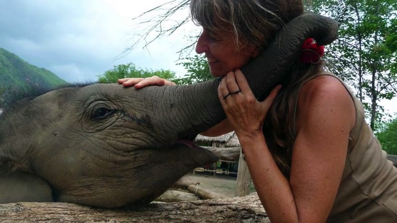 L'appel du règne animal ❀ Christine Pagnier Guillot - Thomas Marcilly le blog