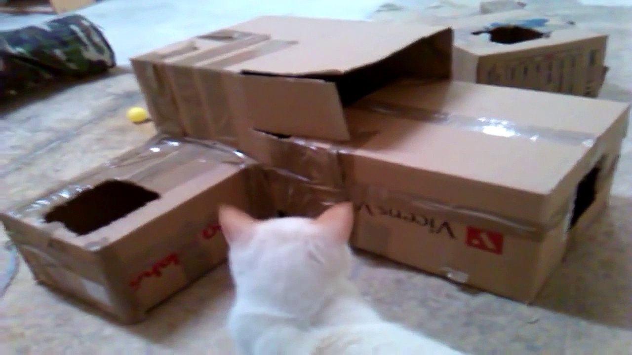 CAJAS LABERINTO PARA GATOS /HAZLO TU MISMO / JUGUETE Y MANERA DE ENTRETENER GATOS