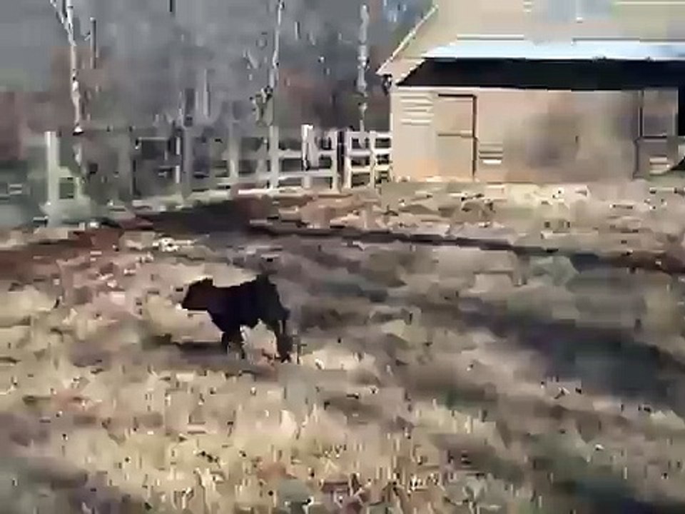 Tobey running
