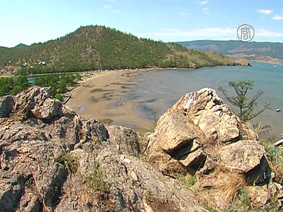 Воды Байкала окутала водоросль спирогира