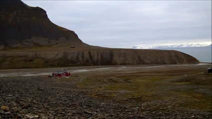 Bjørndalen, Svalbard, el oso.... Isbjørn.... the bear