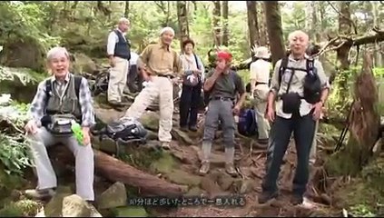 丸山・高見石・白駒池ハイク