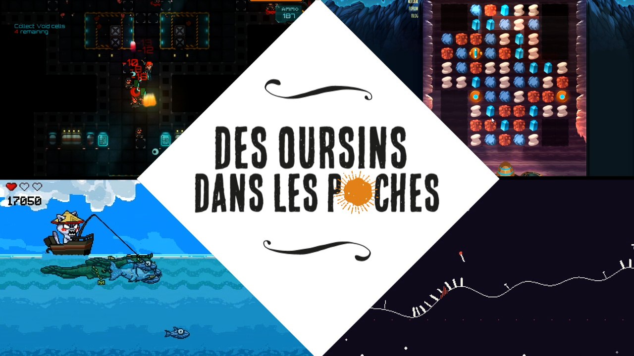 Des Oursins dans les Poches #8 (juillet 2015)