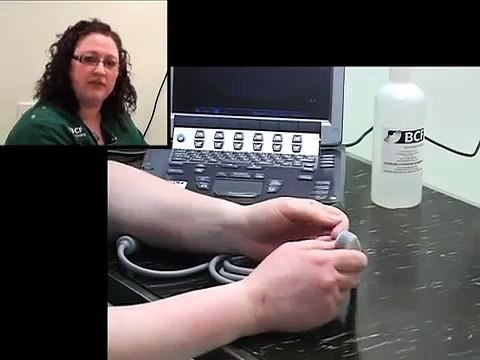 BCF Technology Abdominal Ultrasound Video 2 The ultrasound probe