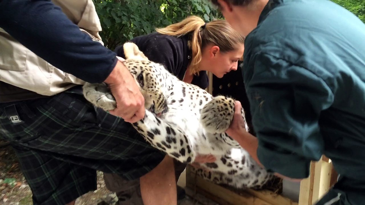 Simbad fait son premier voyage vers la liberté, dans le Caucase Russe