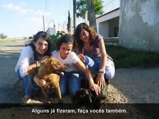 Adoptados - Cantinho dos Animais de Beja