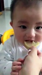 this cute baby eating lemon......