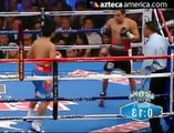 Los famosos en la pelea de Márquez contra Pacquiao