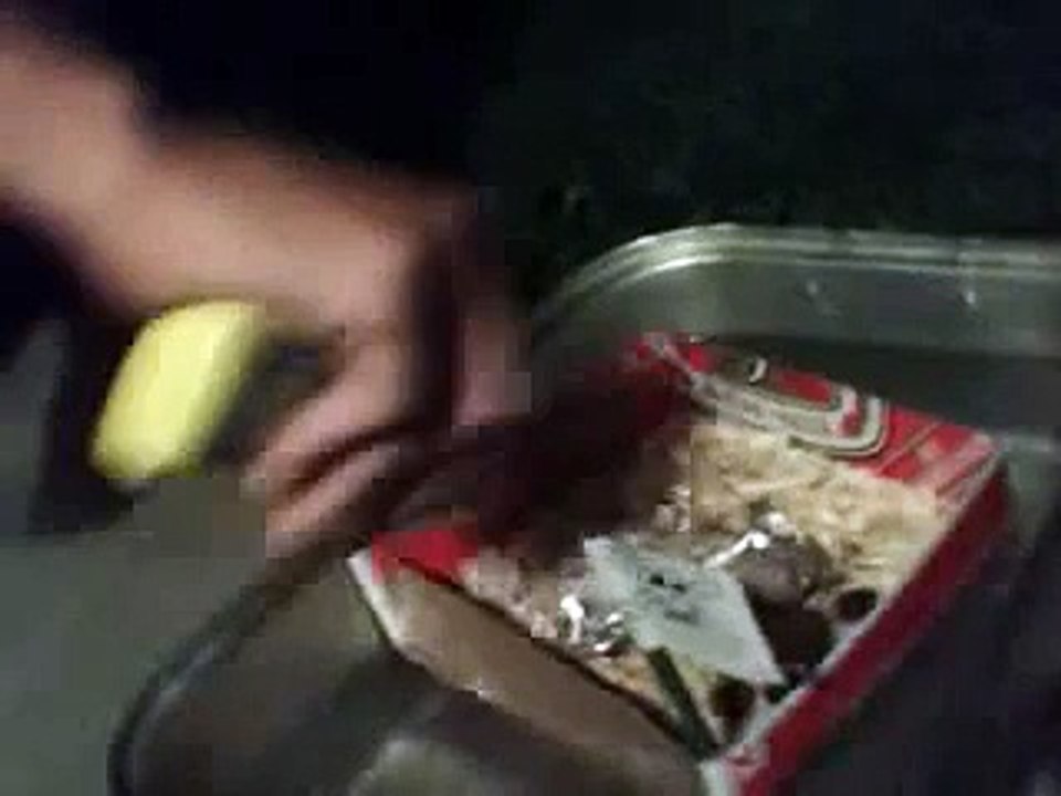Hamster Viking Funeral