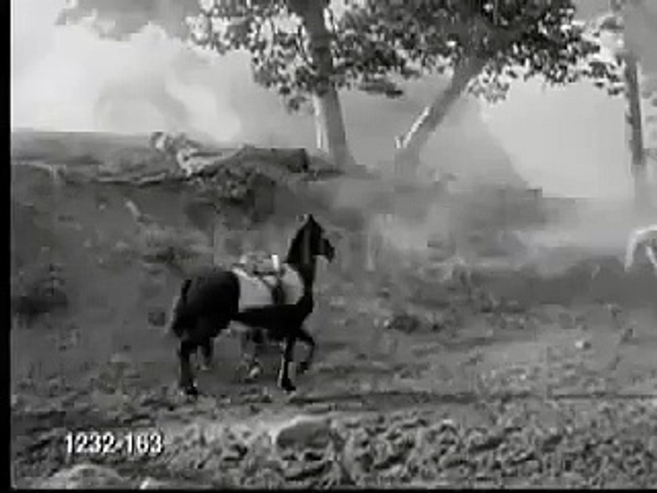 Gone With the Breeze