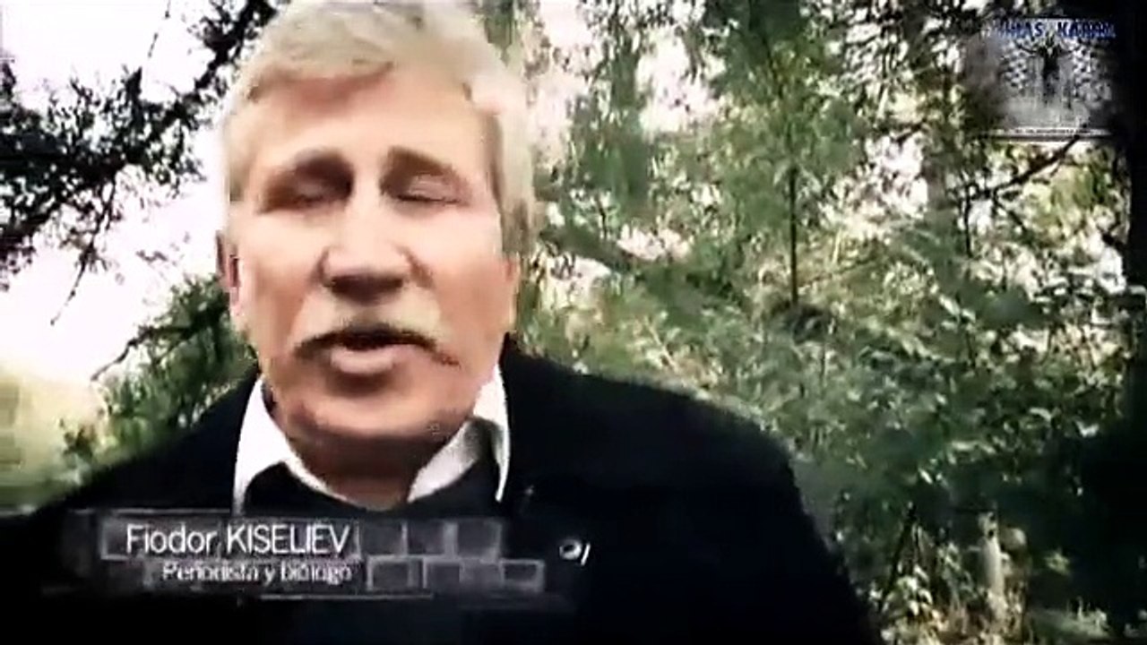 EL CASO OVNI DE VORONEZH,RUSIA. 2-3.